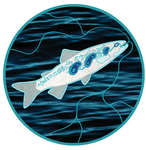 Fish Illustration
