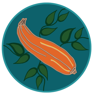 Squash Illustration